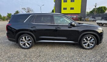 Hyundai Palisade 2020 full