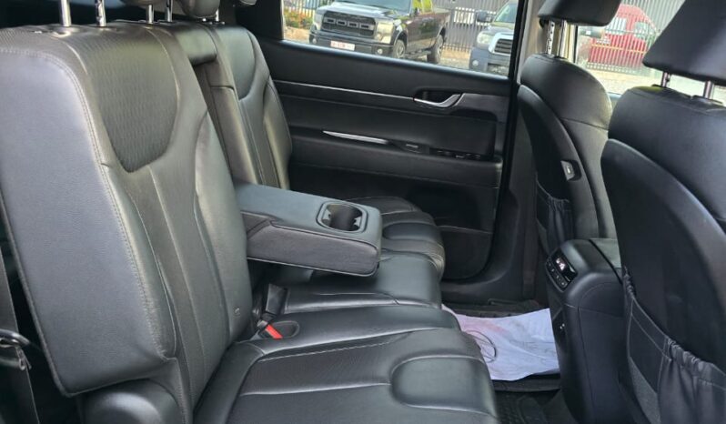 Hyundai Palisade 2020 full