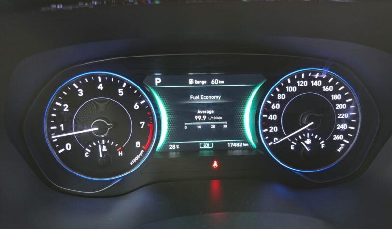 Hyundai Palisade 2020 full