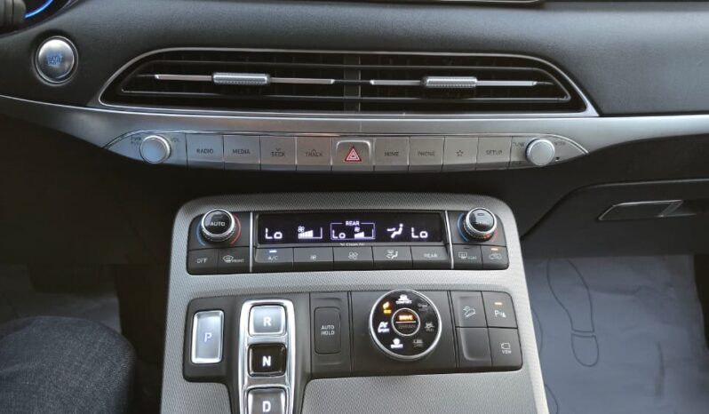 Hyundai Palisade 2020 full