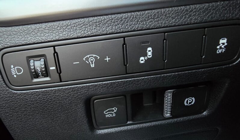 Hyundai Palisade 2020 full