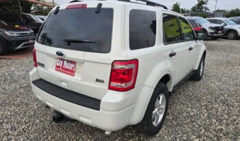 Ford Escape 2010 full