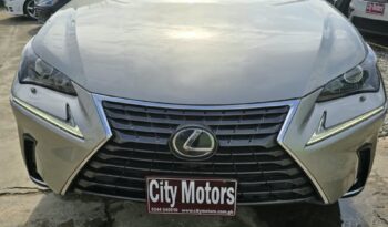 Lexus NX 300 2021 full
