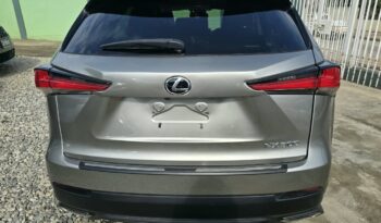 Lexus NX 300 2021 full