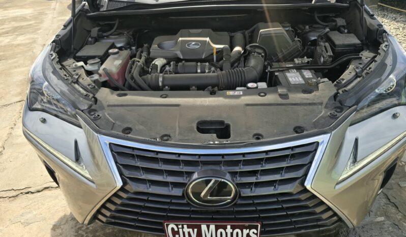 Lexus NX 300 2021 full